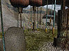 Wildlife-chirteetahm.jpg