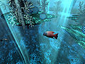 Thumbnail for version as of 15:41, 26 February 2016