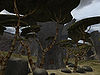 Wildlife-panahree-trees.jpg