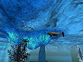 Thumbnail for version as of 11:37, 26 February 2016